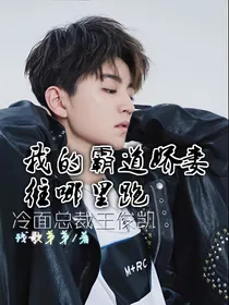 冷面总裁王俊凯:我的霸道娇妻往哪里跑