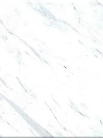 重生之国民男神是女神