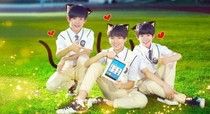 TF爱你，，