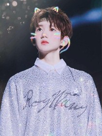 王源之系统有毒