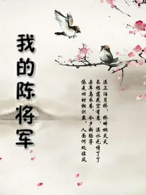 我的陈将军