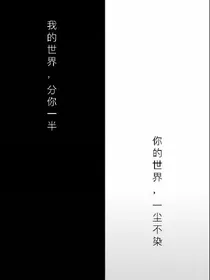 destiny宠物店