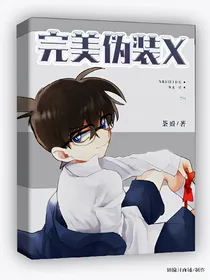 完美伪装X