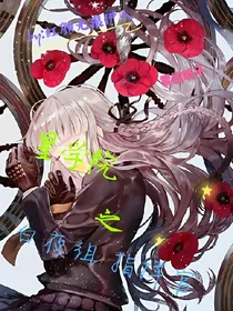 星学院之白夜组指挥官
