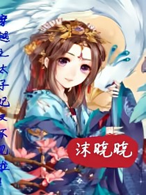 穿越之太子妃又不见啦！