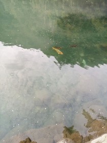 星空格
