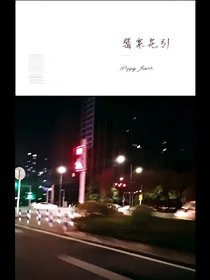 罂粟花引—