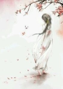 穿越之王妃请留步