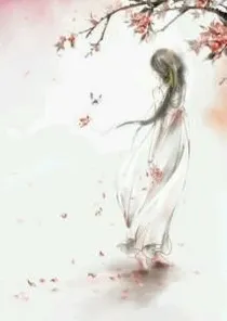 穿越之王妃请留步