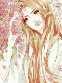 重生王牌杀手