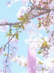 我与乐华的机遇