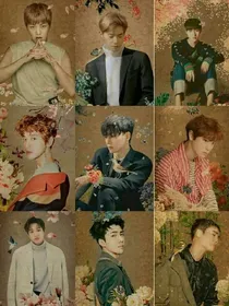 EXO-你是年少时的欢喜