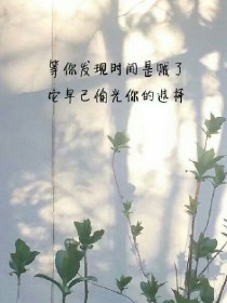 韶婳恋爱文集