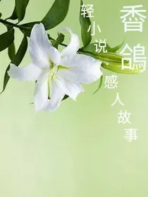 轻小说（感人故事）
