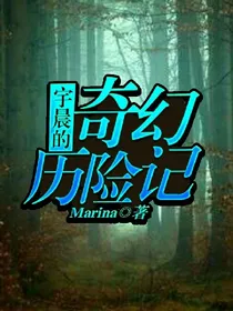 宇晨的奇幻历险记