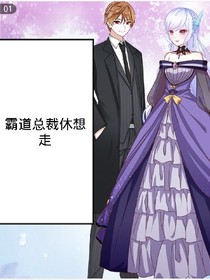霸道总裁休想走
