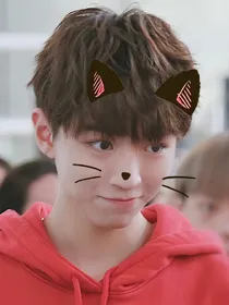 恋上一只猫—王俊凯