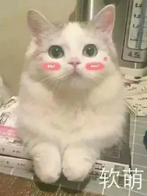 日常生活（苏枍）