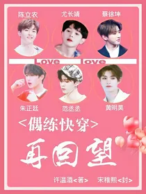 偶练快穿：再回望……