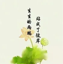 致我最爱的汤圆