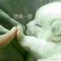 NPC：团攻是女生