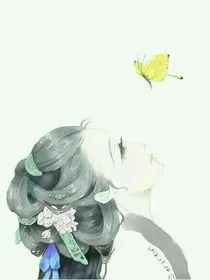 与蝶说