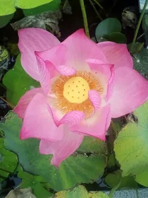 青春修练手册