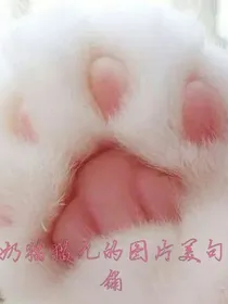 小奶猫猫九的图片美句小铺