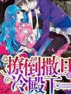 撩上撒旦冷殿下