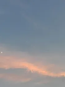娱乐圈的泥石流