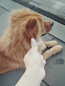 有谁会爱我