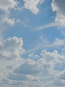 仙家纪事