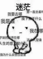 神奇宝贝之谪仙绫鱼