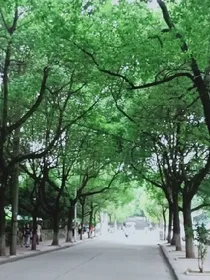 九转神剑