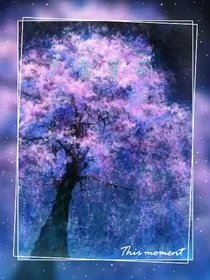丁香茉莉