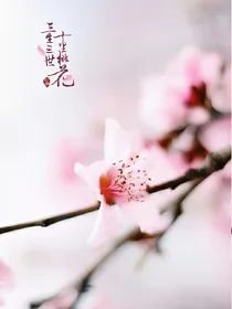 情定三生之墨汐