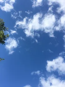张三丰外传