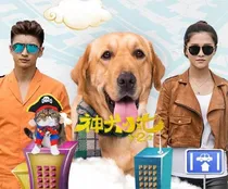 神犬小七第四季