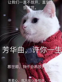 芳华曲：许你一生