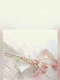 青柠稚夏