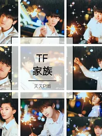 tf家族：欺骗-d511