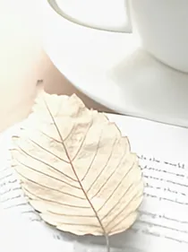 奇幻之恋（合集，不完整）