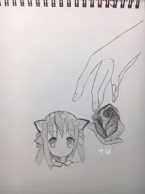 猫咪饲养指南——明思