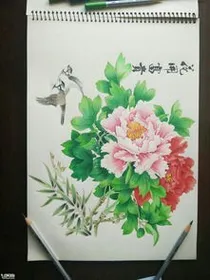 星学院3之紫罗兰公主