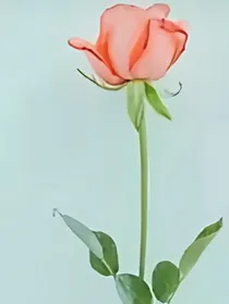 感慨生活