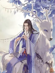 穿越之本王的妻本王宠