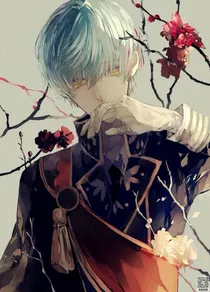 梦幻泡沫