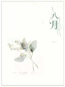 八月.轻欢