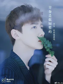 白敬亭——静沐远亭
