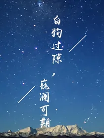 朱一龙白宇图集